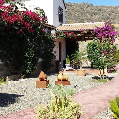 | Casa Don Carlos Bed and breakfast *