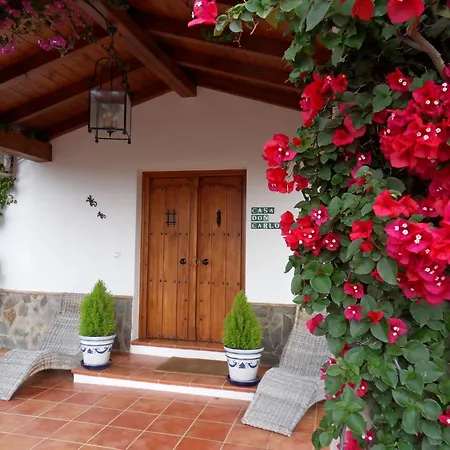 Bed and breakfast | Casa Don Carlos *