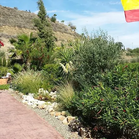 Bed & Breakfast | Casa Don Carlos Alhaurin el Grande