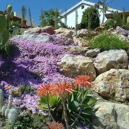 Bed & Breakfast | Casa Don Carlos Alhaurin el Grande